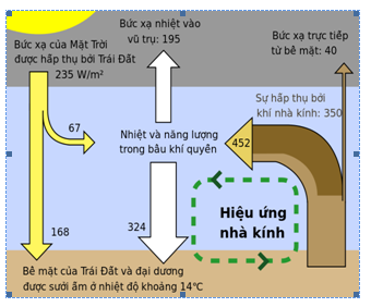 Ứng dụng công nghệ sấy bằng hiệu ứng nhà kính để bảo quản sản phẩm thuỷ hải sản